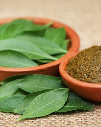 Learn about the benefits of henna for hair and what to expect from a henna hair treatment. Plus before and after photos & in process photos of the changes.