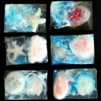 Learn how to make a DIY seashell soap using seashell soap embeds. This fun and easy melt and pour soap recipe is easy enough for beginners to craft at home this summer.