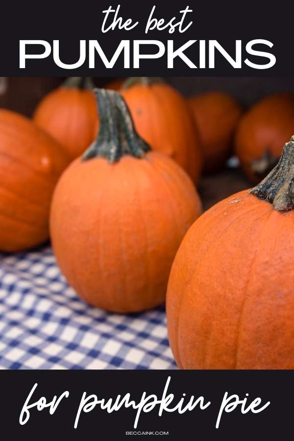The best pumpkins for making homemade pumpkin pie. Discover the best pumpkins for making a pumpkin pie recipe from scratch, plus recipes for pumpkin pie filling, pumpkin pie crust and pumpkin pie spice mix. A delicious holiday dessert idea made with condensed milk and sugar pumpkins. Make my delicious homemade pumpkin pie recipe from scratch with this pumpkin pie recipe with condensed milk for your holiday desserts to enjoy this Halloween, and Thanksgiving through Christmas.