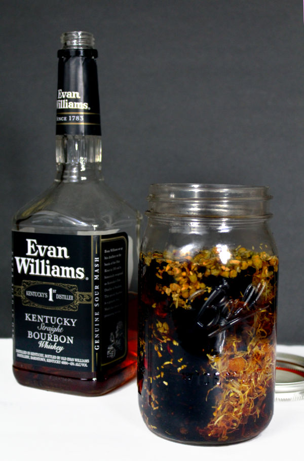 How to make an immunity elixir recipe as a cold and flu remedy with elderberry, bourbon and honey. This holistic herbal cold and flu elixir supports immune health. A natural cold and flu remedy, this elderberry tincture recipe is made using elderberries, ginger and other herbs, along with raw honey and bourbon for an immune boosting cold and flu elixir for natural health and wellness. Discover the benefits of an elderberry tincture and how it can support immune health as a natural cold remedy.