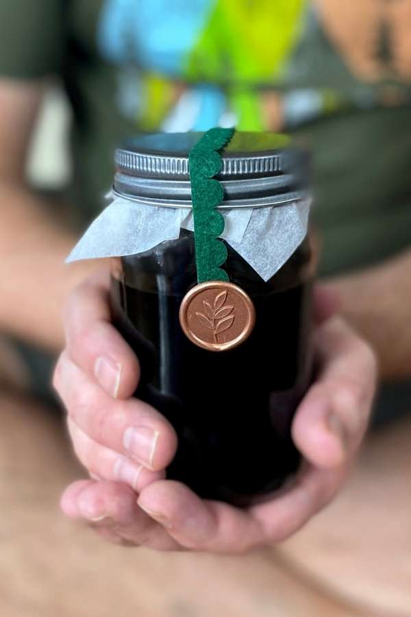 elderberry immunity elixir cold remedy in hands