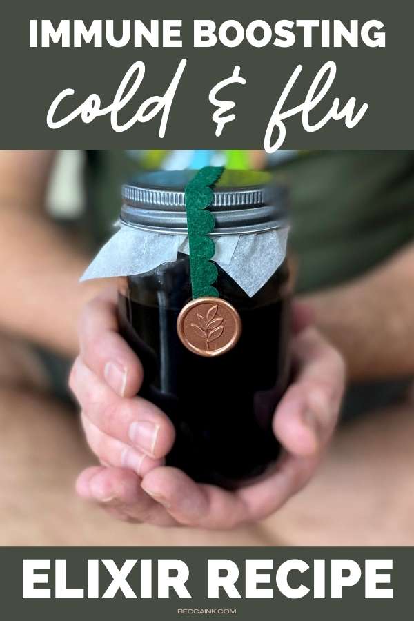 Immunity Cold and Flu Elixir Elderberry Tincture Recipe with Herbs