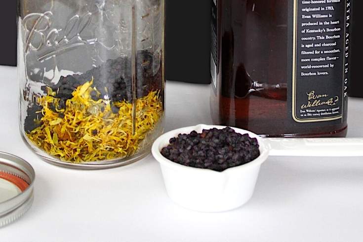 putting ingredients for elderberry cold and flu elixir into mason jar to infuse with bourbon