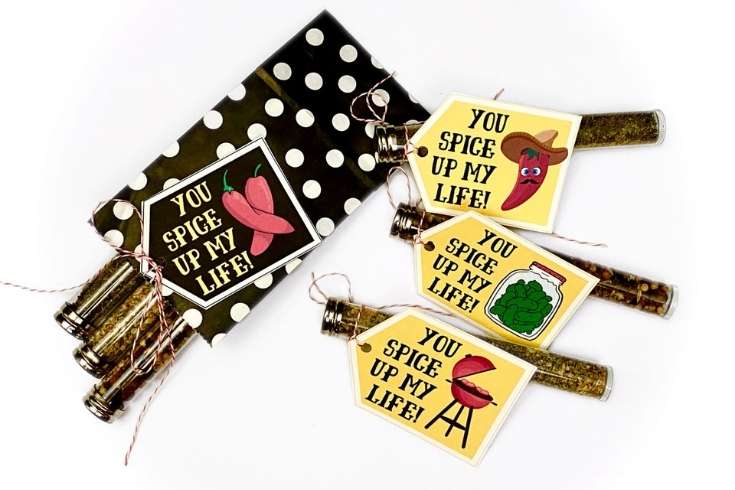 DIY foodie gifts for him for Valentine's Day. Create these fun and functional DIY foodie gifts for him for Valentine's Day! Featuring organic spice blends designed around a man's food palette for grilling, pickles and spicy Mexican dishes, this foodie gift idea comes with coordinated printable valentines for a lovely finishing touch. The perfect homemade Valentine's Day gift for a boyfriend, husband or significant other. Three fun spice blends with printable valentines for your foodie friends.