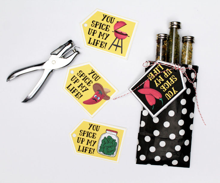 DIY foodie gifts for him for Valentine's Day. Create these fun and functional DIY foodie gifts for him for Valentine's Day! Featuring organic spice blends designed around a man's food palette for grilling, pickles and spicy Mexican dishes, this foodie gift idea comes with coordinated printable valentines for a lovely finishing touch. The perfect homemade Valentine's Day gift for a boyfriend, husband or significant other. Three fun spice blends with printable valentines for your foodie friends.