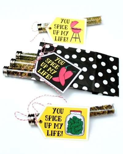 Create these fun and functional DIY foodie gifts for him for Valentine's Day! Featuring organic spice blends designed around a man's food palette for grilling, pickles and spicy Mexican dishes, this foodie gift idea comes with coordinated printable valentines for the perfect finishing touch.