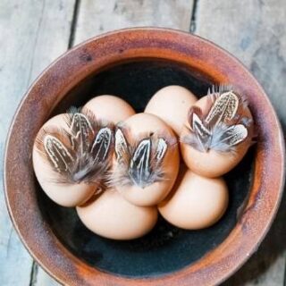 Make DIY feather Easter eggs to decorate Easter eggs without dye. This Easter craft is perfect for your farmhouse style rustic Easter decor.