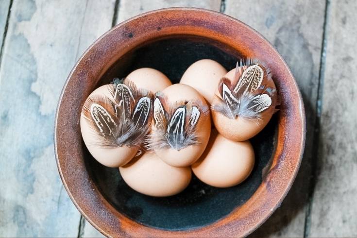 feather easter eggs diy easy easter egg design ideas farmhouse style rustic easter decor