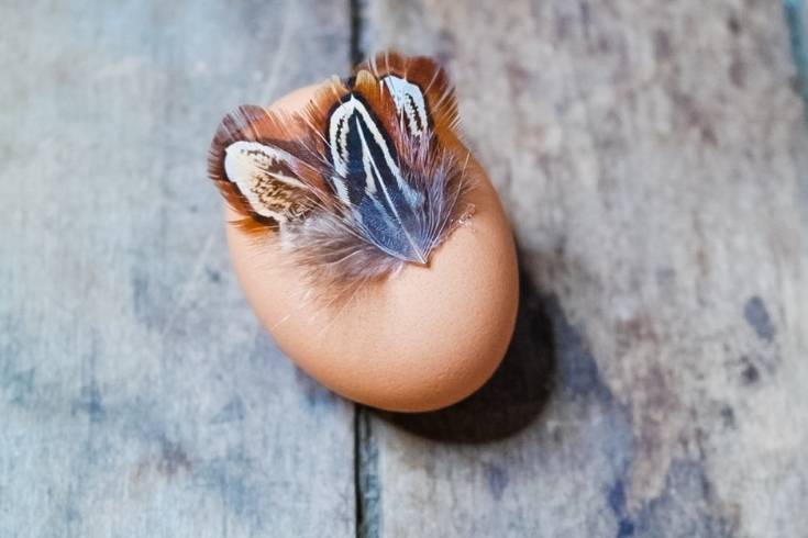 glue natural feathers onto brown eggs to create unique easter egg designs