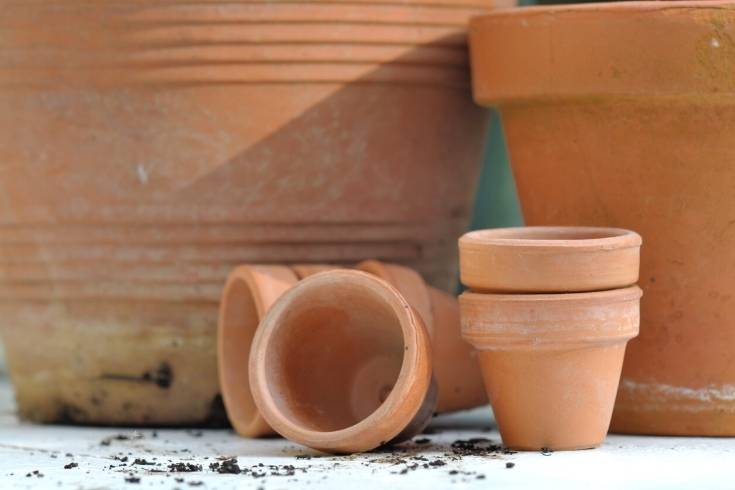 how to clean a terracotta pot