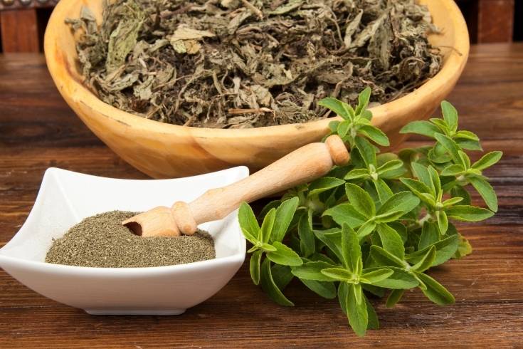 how to dry and use stevia as a sugar substitute (2)