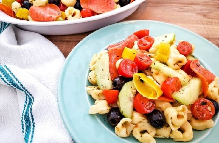 cheese filled tortellini pasta salad