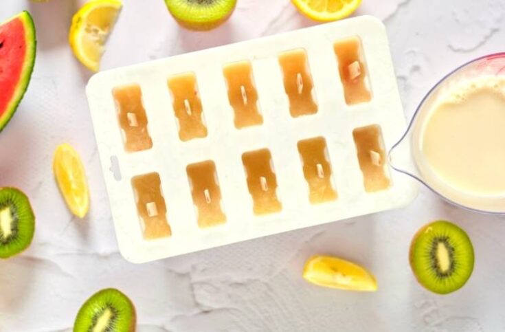 pour coconut milk into popsicle mold ot make watermelon coconut milk popsicles