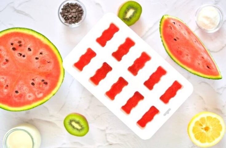 the best popsicle molds for making fruit popsicles