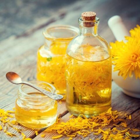 dandelion infused oil