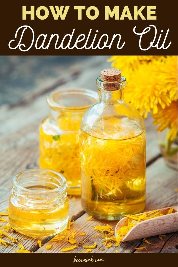dandelion oil infusion