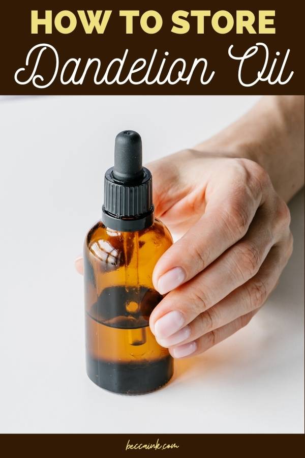 how to store herbal infused dandelion oil