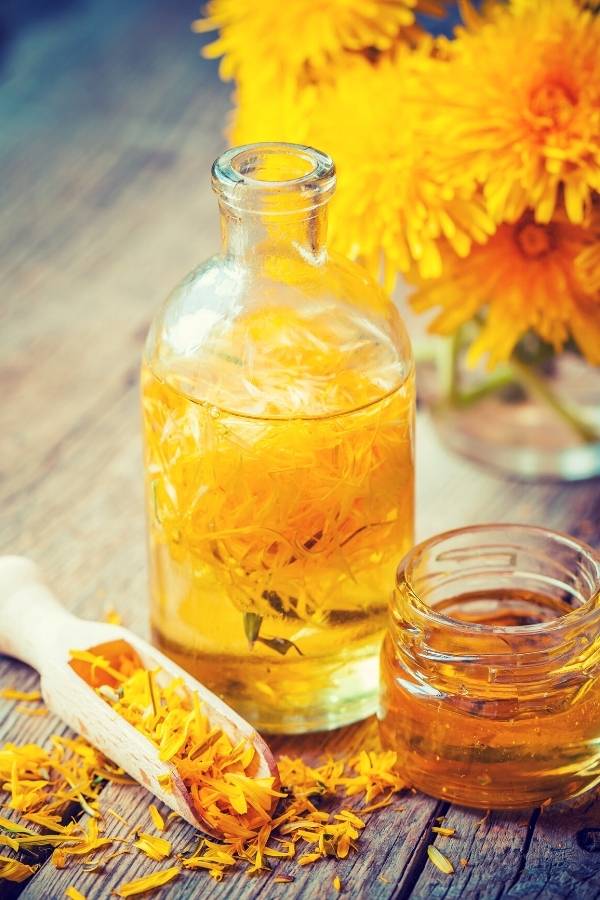 How to Make a Dandelion Oil Infusion Plus How to Use It Becca Ink