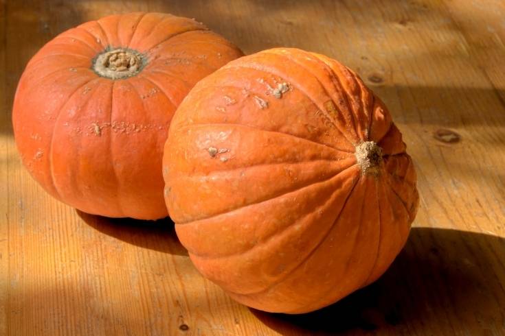 golden nugget pumpkins make delicious vegan fall soups