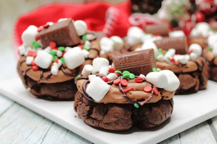 chocolate cookies with marshmallows