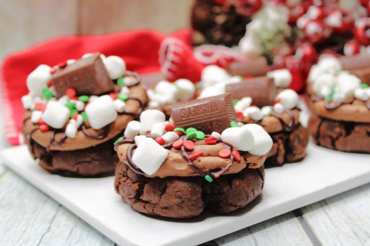 delicious winter cookies with cocoa and marshmallows