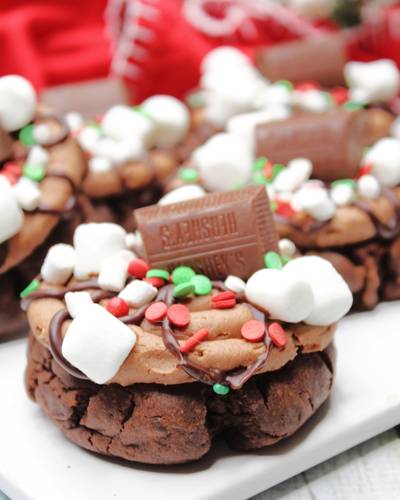 hot chocolate cookies with marshmallows